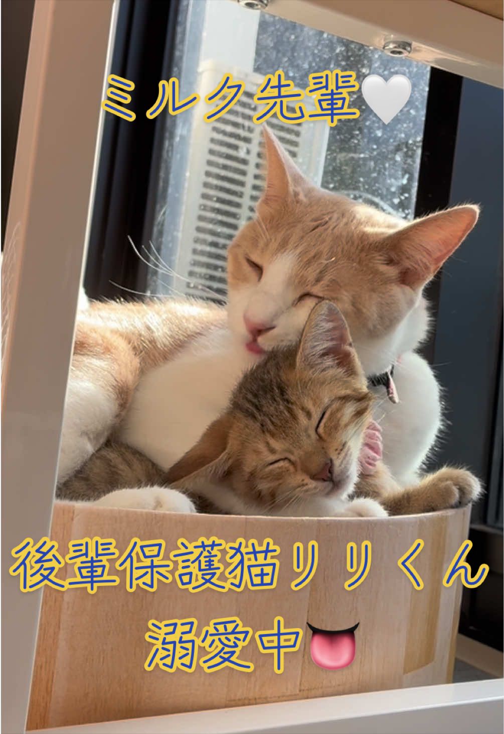 @はっぴー野郎☺︎