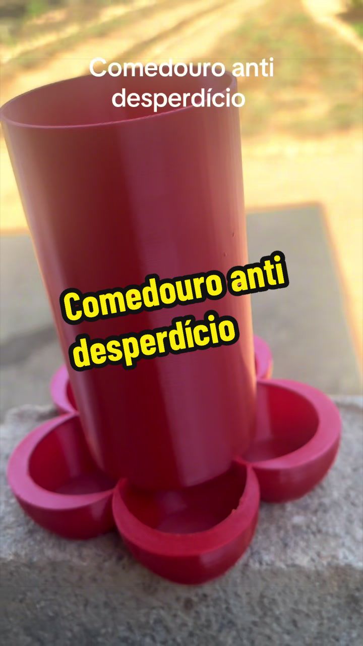 @Silvana Franco /vida na ro&ccedil;a