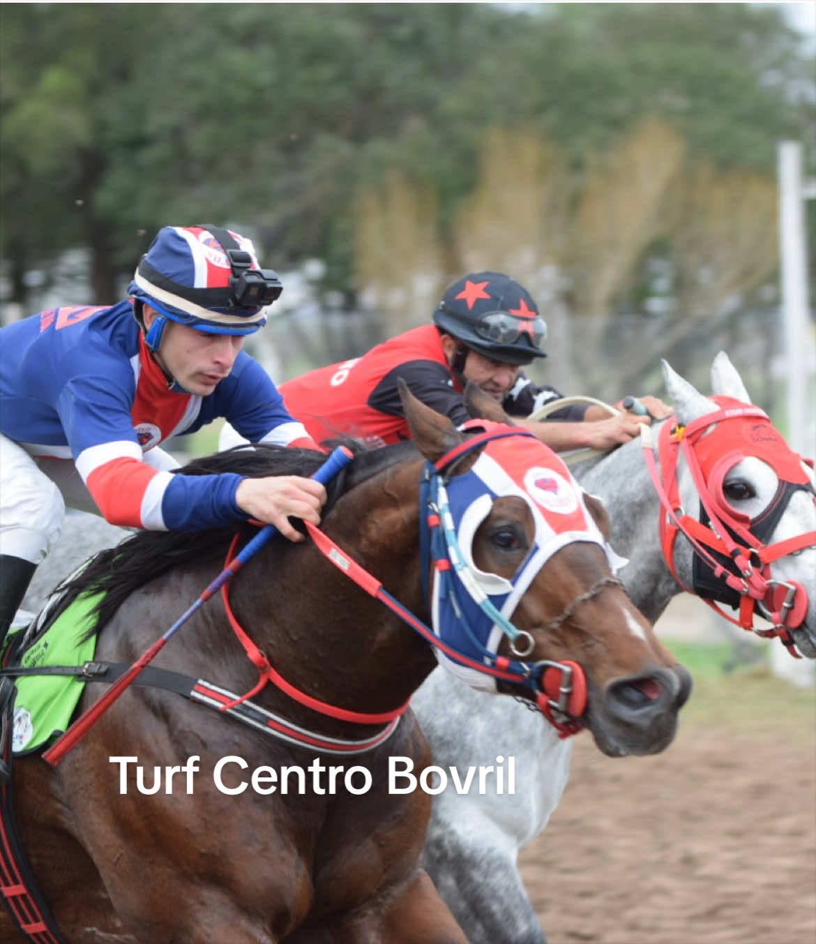 @TURF CENTRO BOVRIL