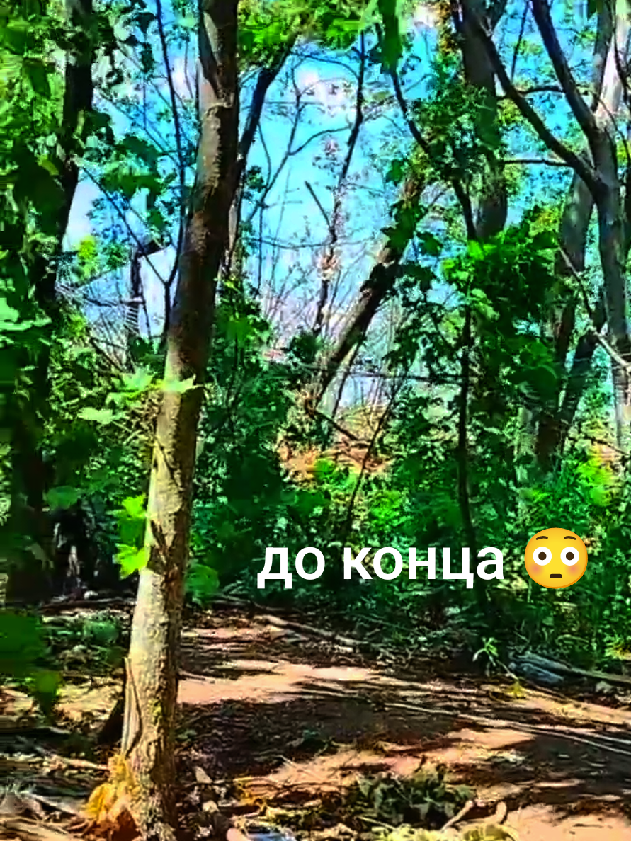 @ВЛАДА🤙🏻 ПОZЫВНОЙ БАСКАРА🇷🇺