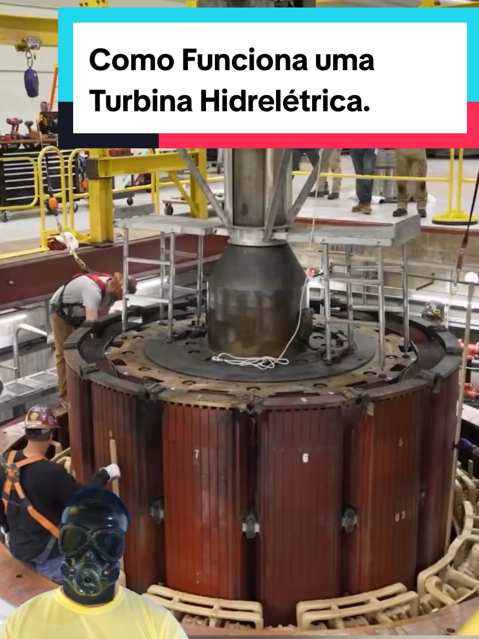 @Mundo da Curiosidades