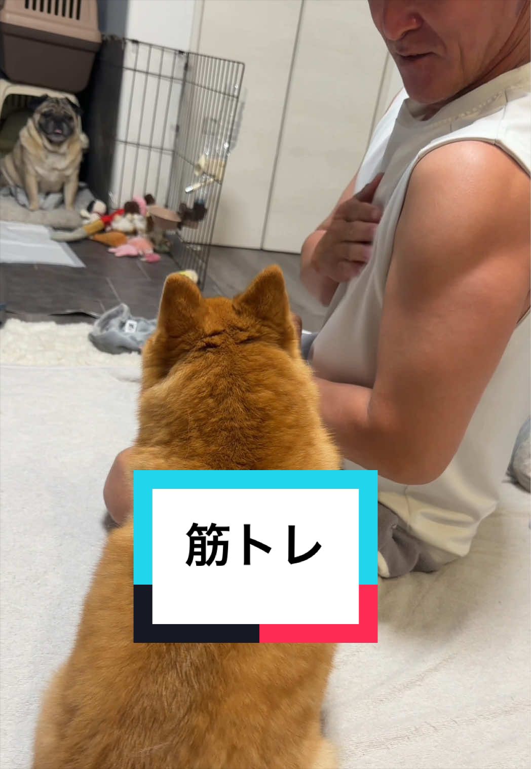 @🐶とん&ぺっぺこぺー🦊