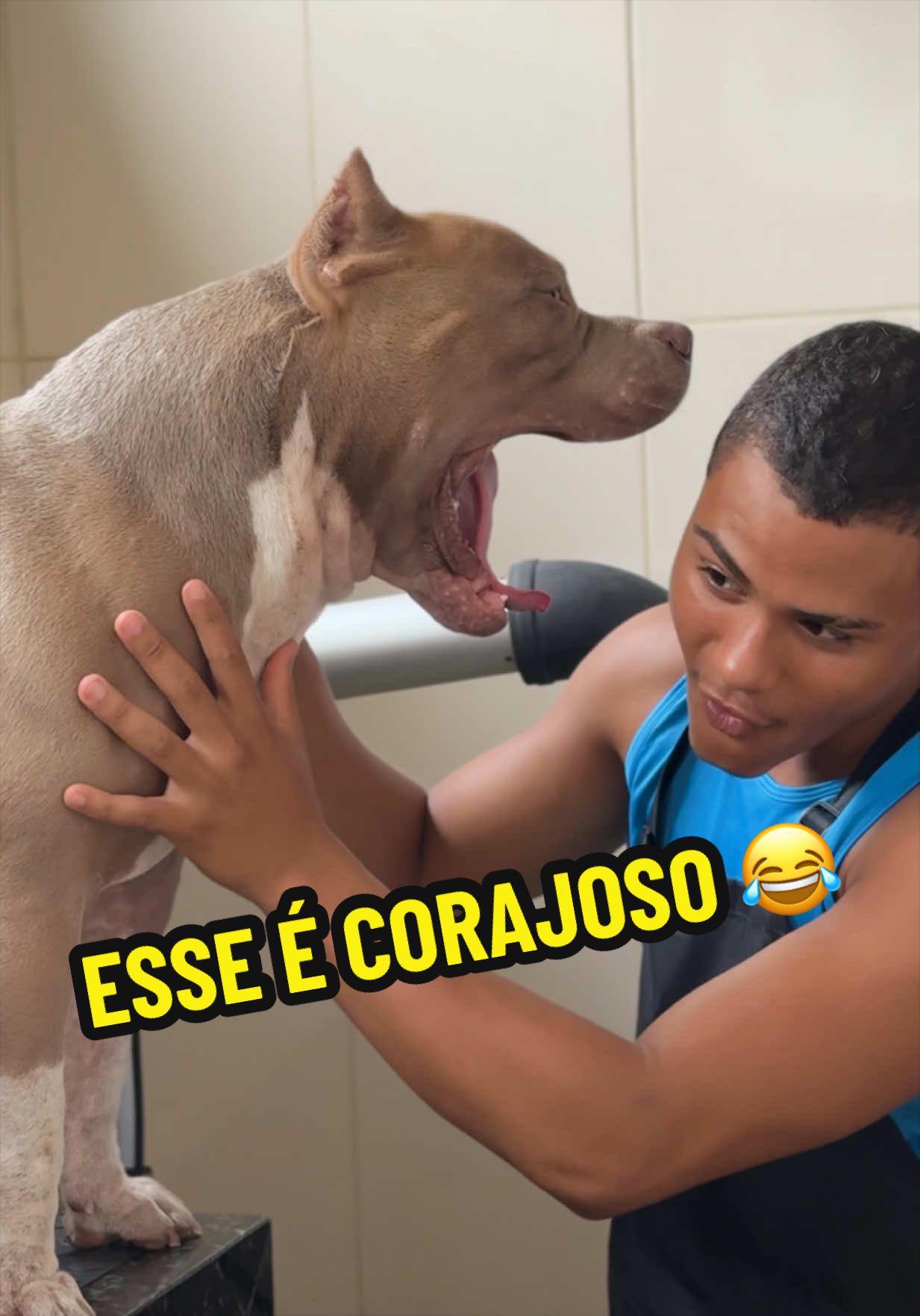 @Família Ragnar 🐶