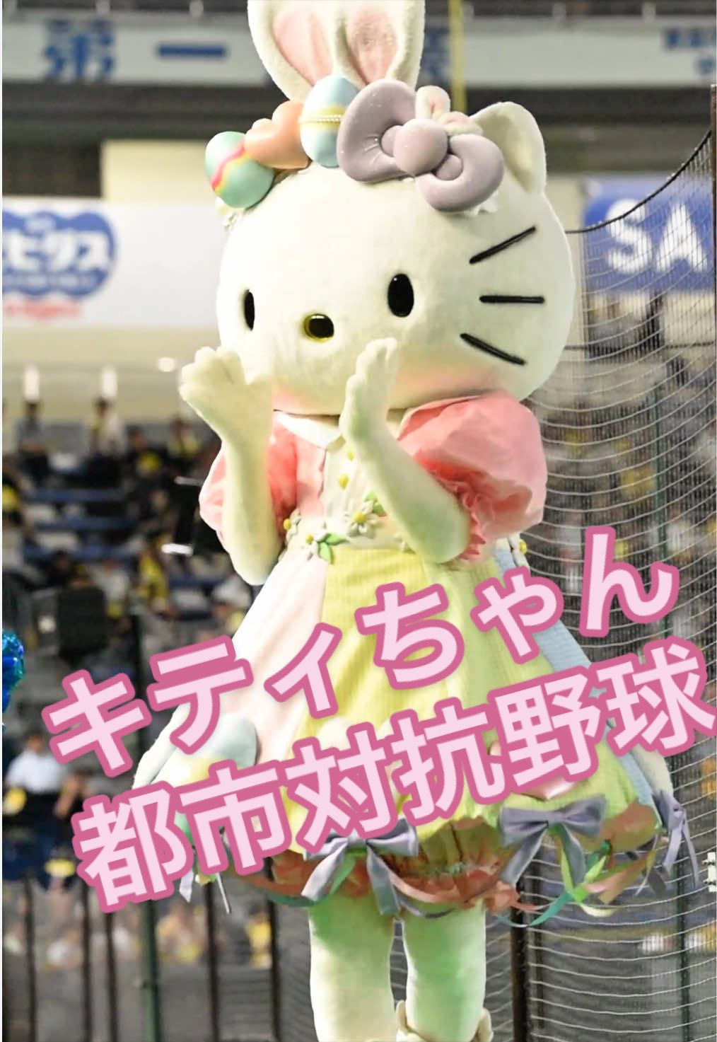 @肉球パンチ👊