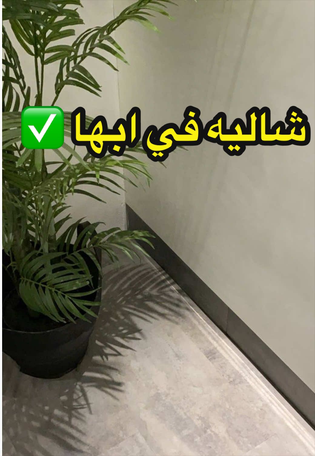 @صولا الشهراني أبها