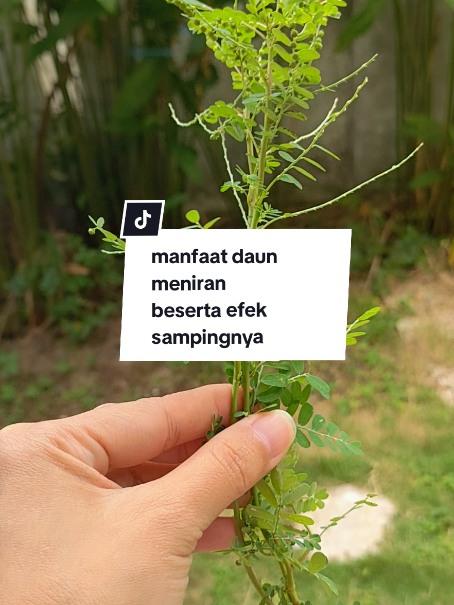 @Alina Yunita
