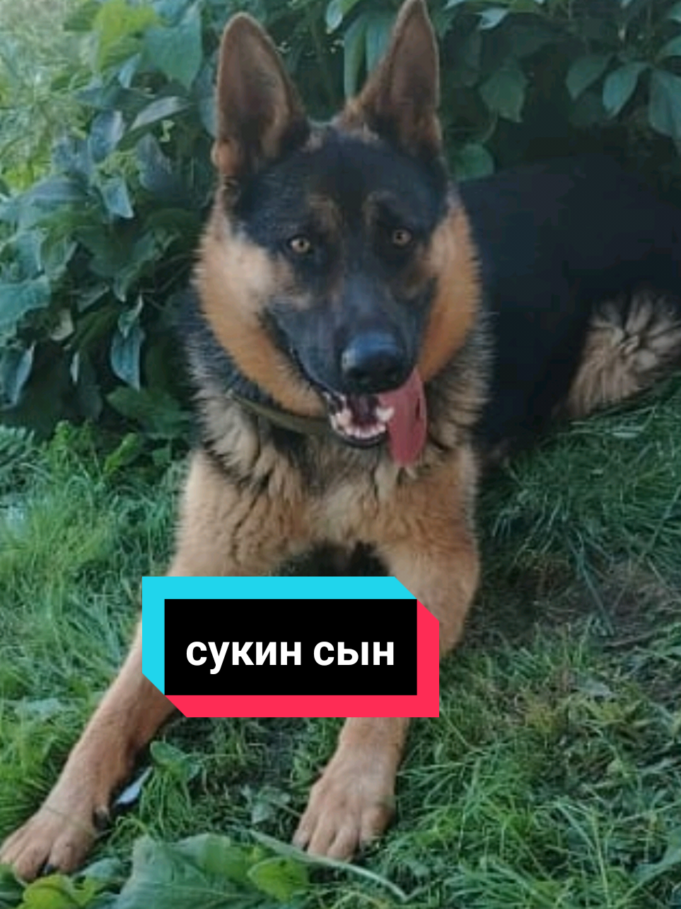 @Рыся✔️🇧🇾