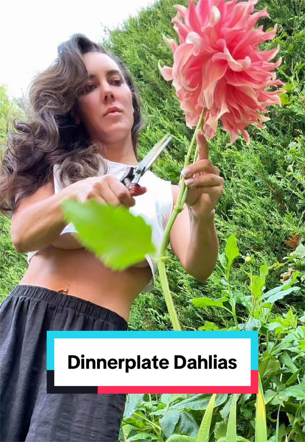 @Ava Dahlia 🇨🇦👩&zwj;🌾✌️