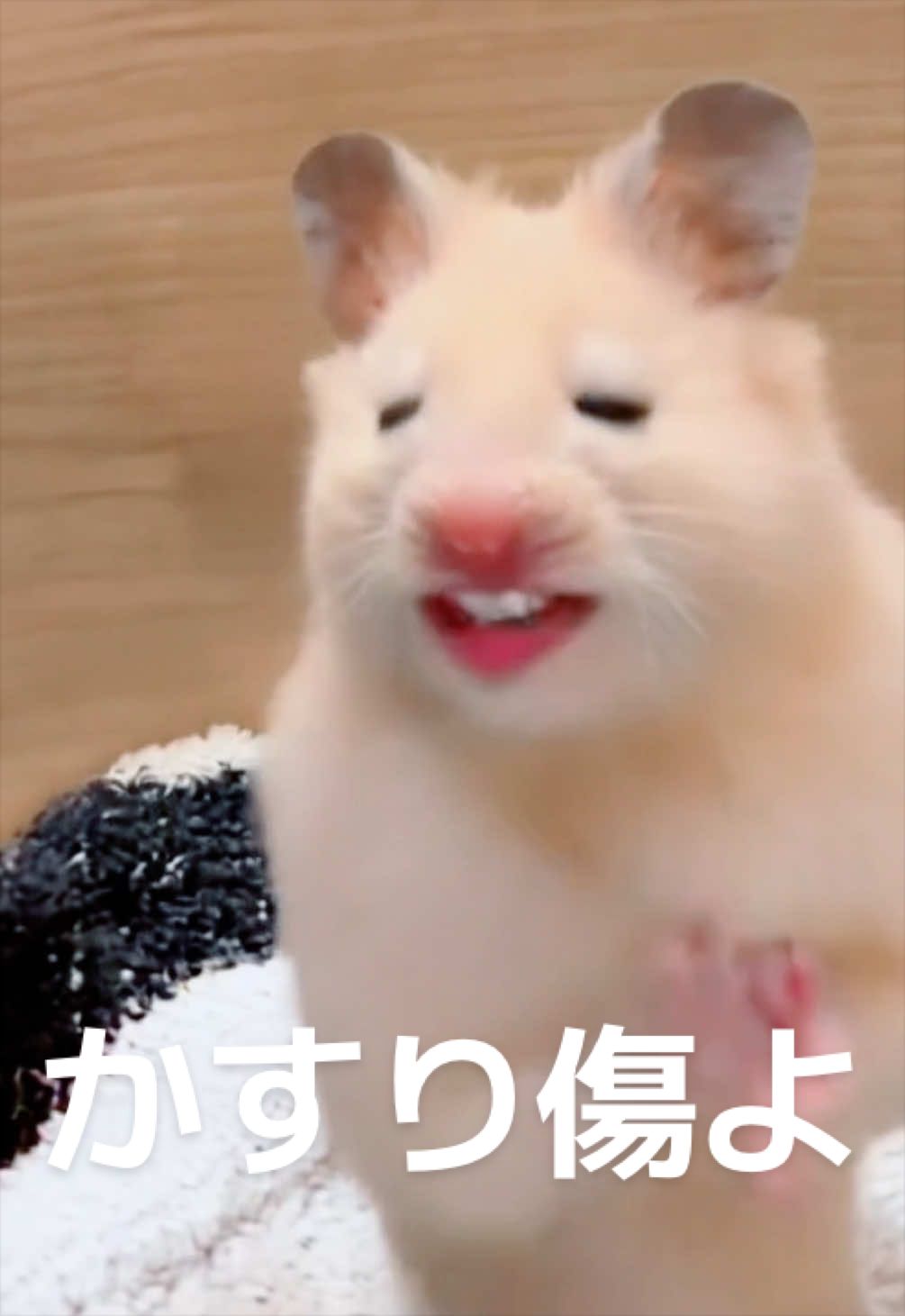 @FCham