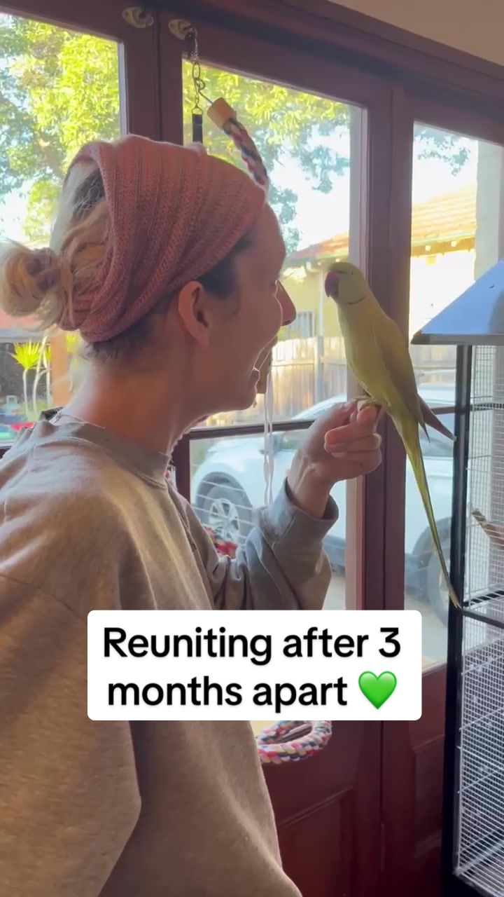 @millieandloki