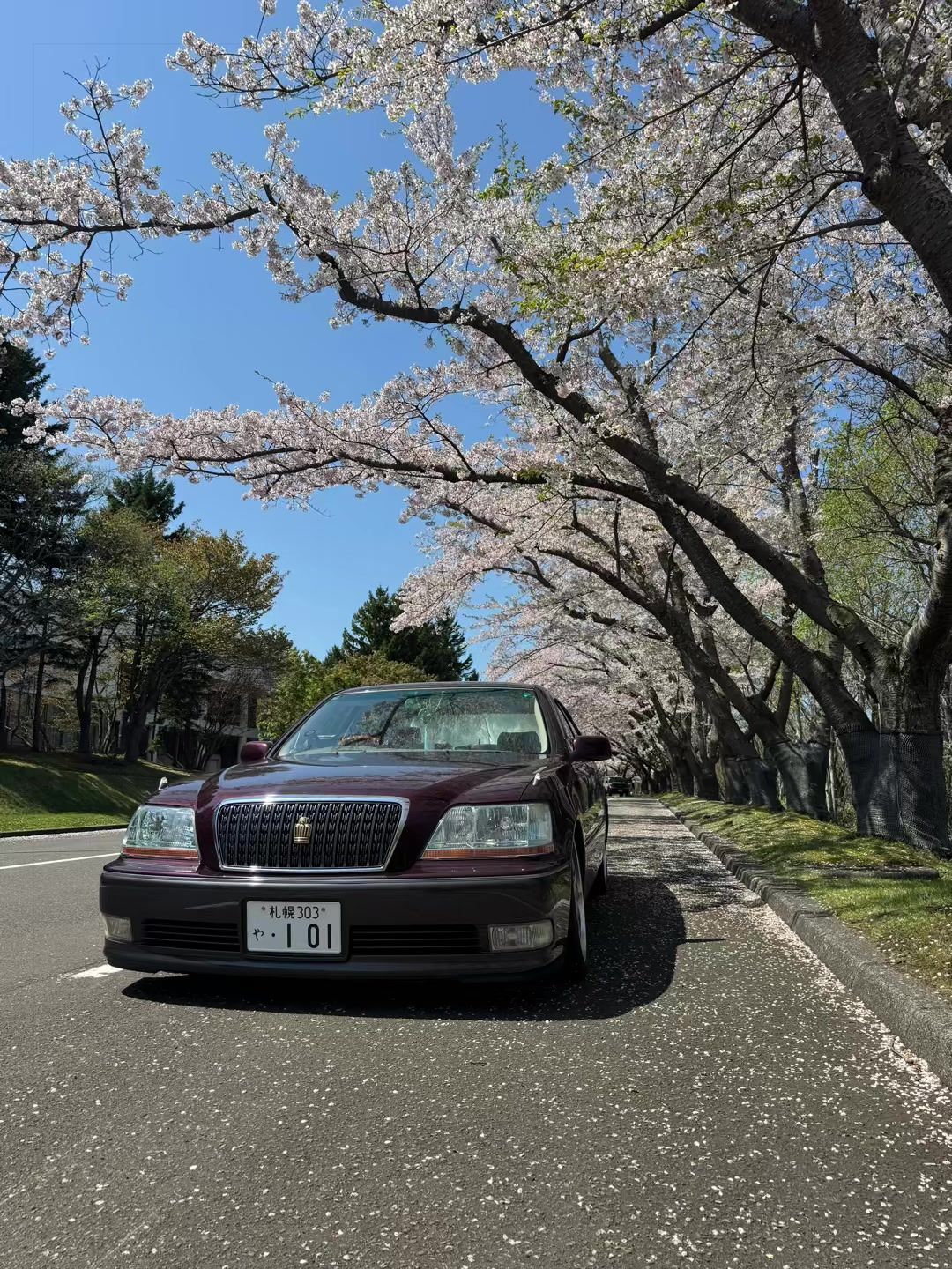 @𝟏𝟕 𝑴𝑨𝑱𝑬𝑺𝑻𝑨