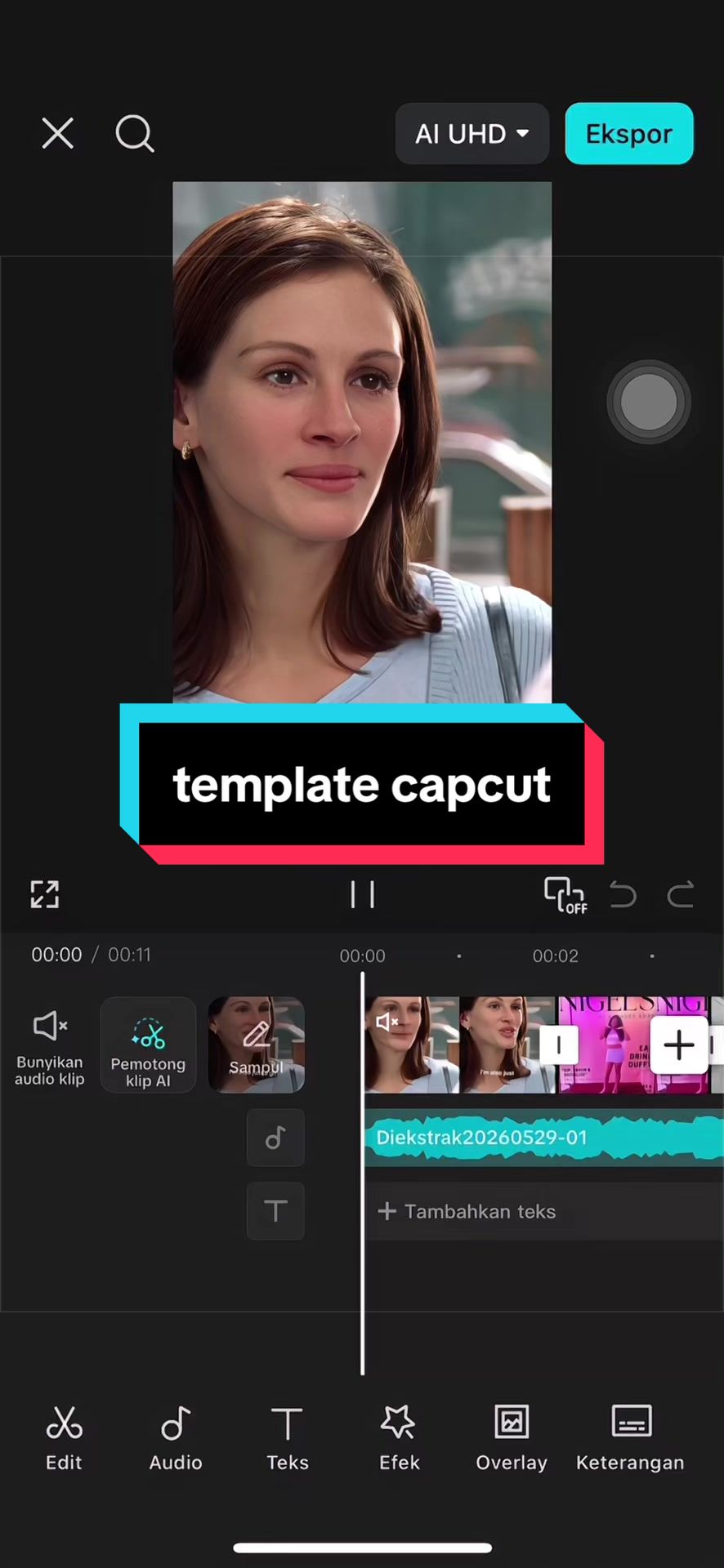 @Vanilla Capcut🎟