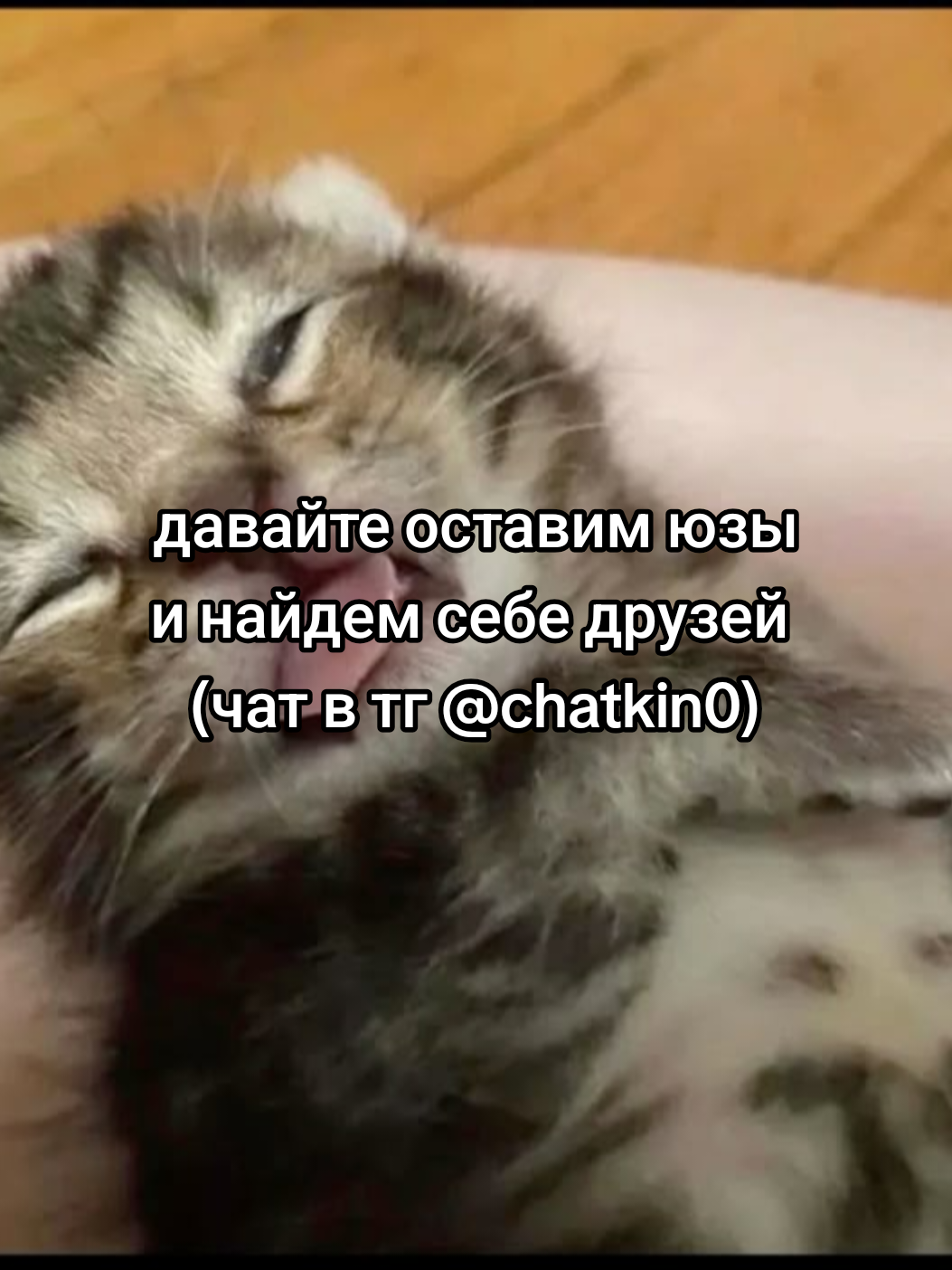 @cqtagger