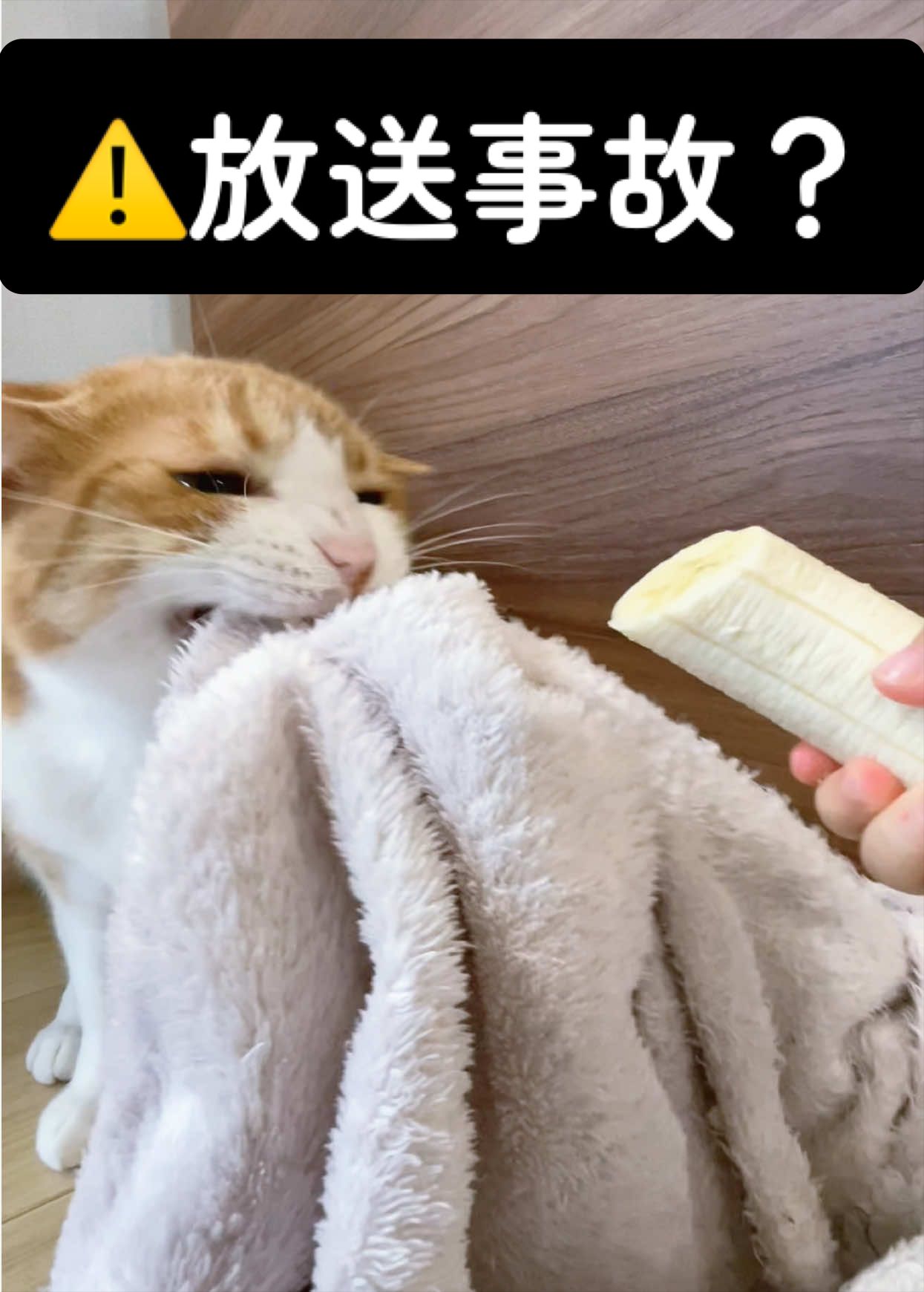 @みーこchannel
