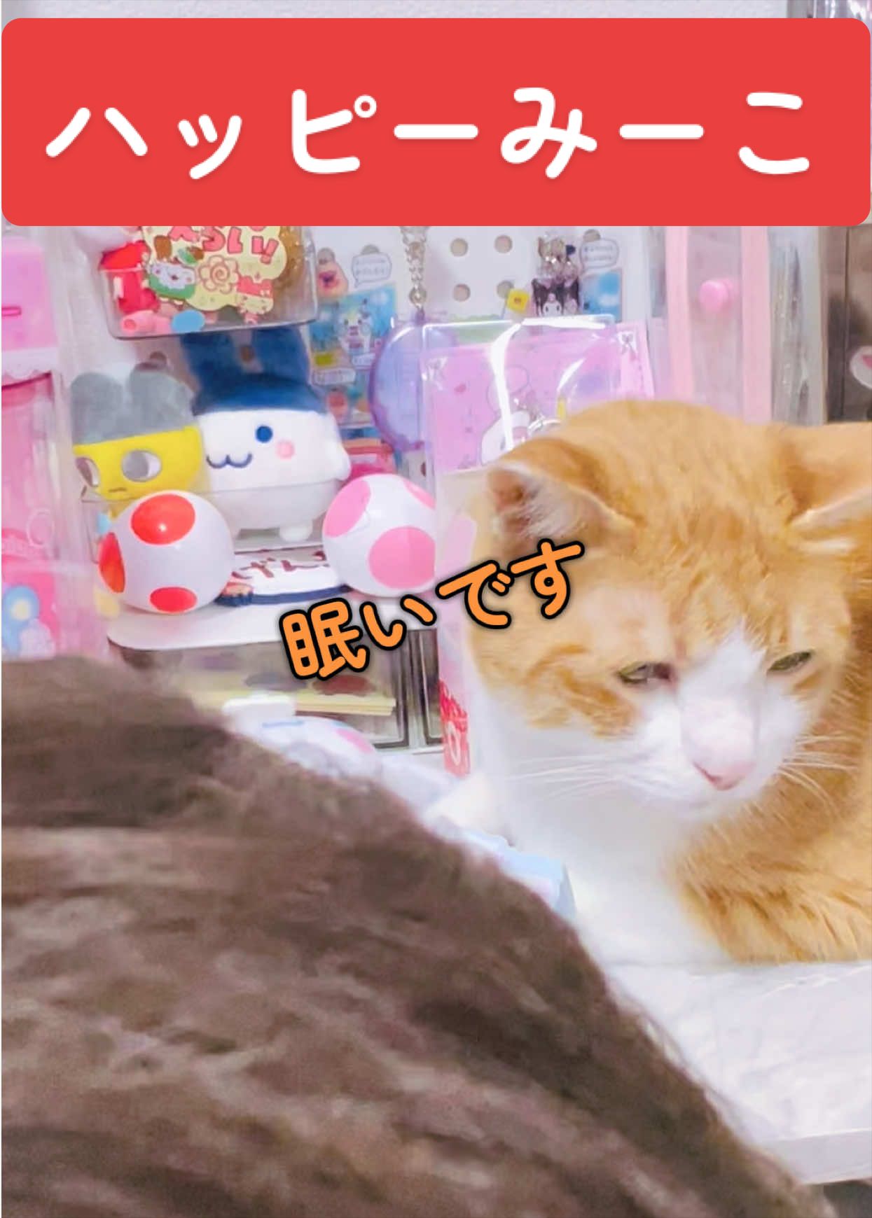 @みーこchannel