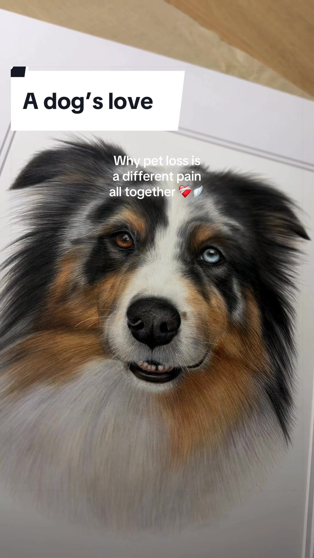 @Caitlin Grace Art