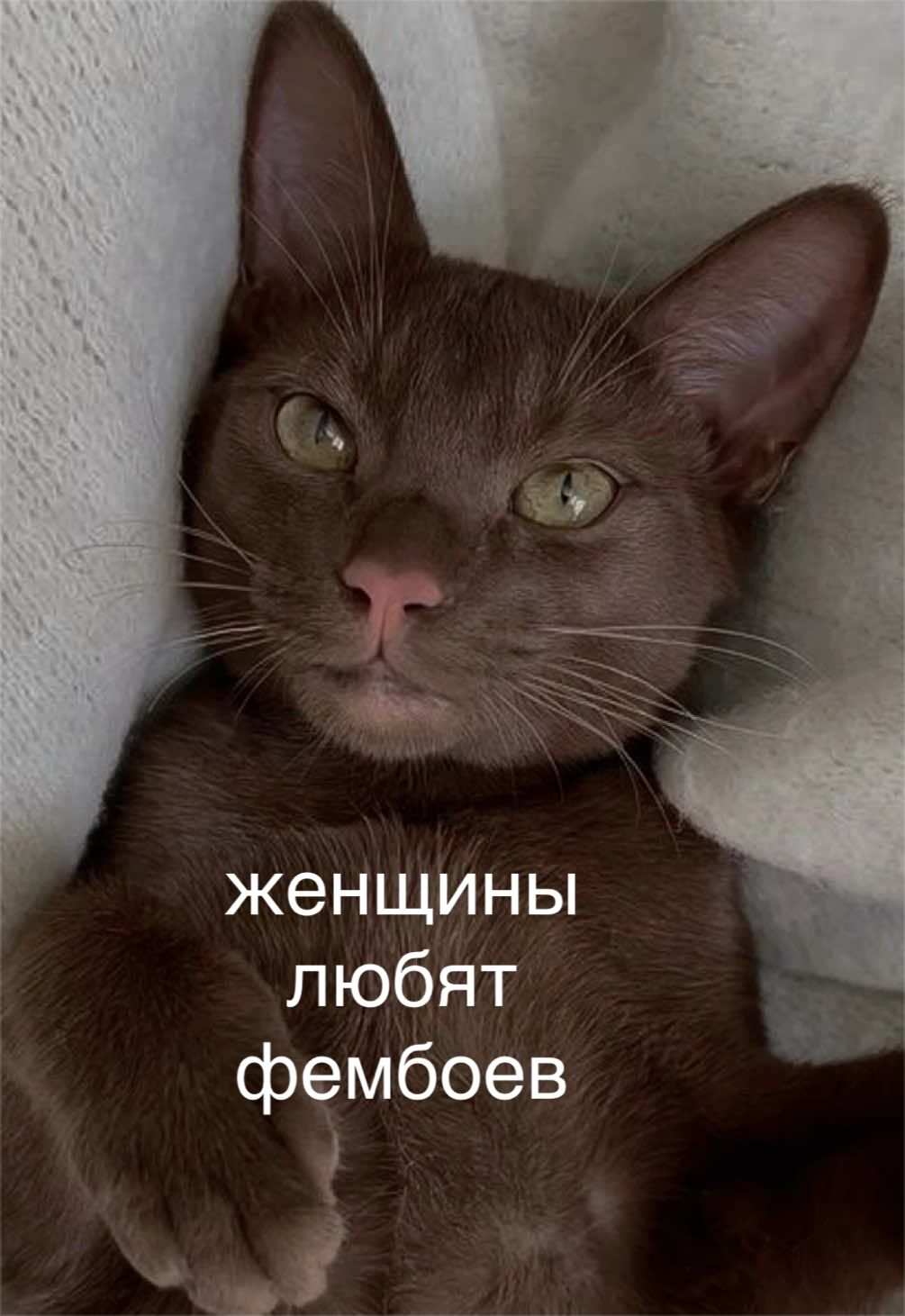 @мамин хep