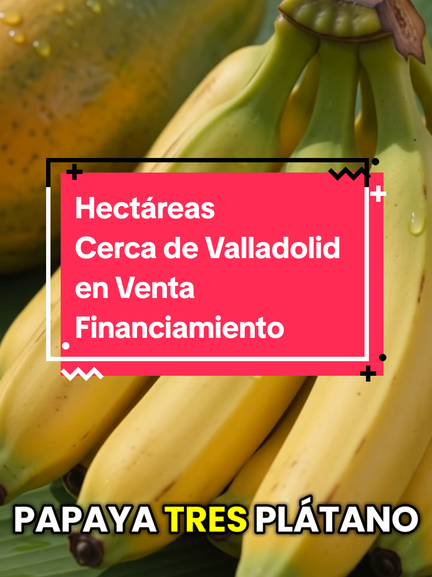 @Jose Chein - Bienes Raices