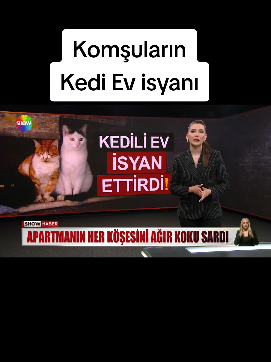 @Sorgunadair