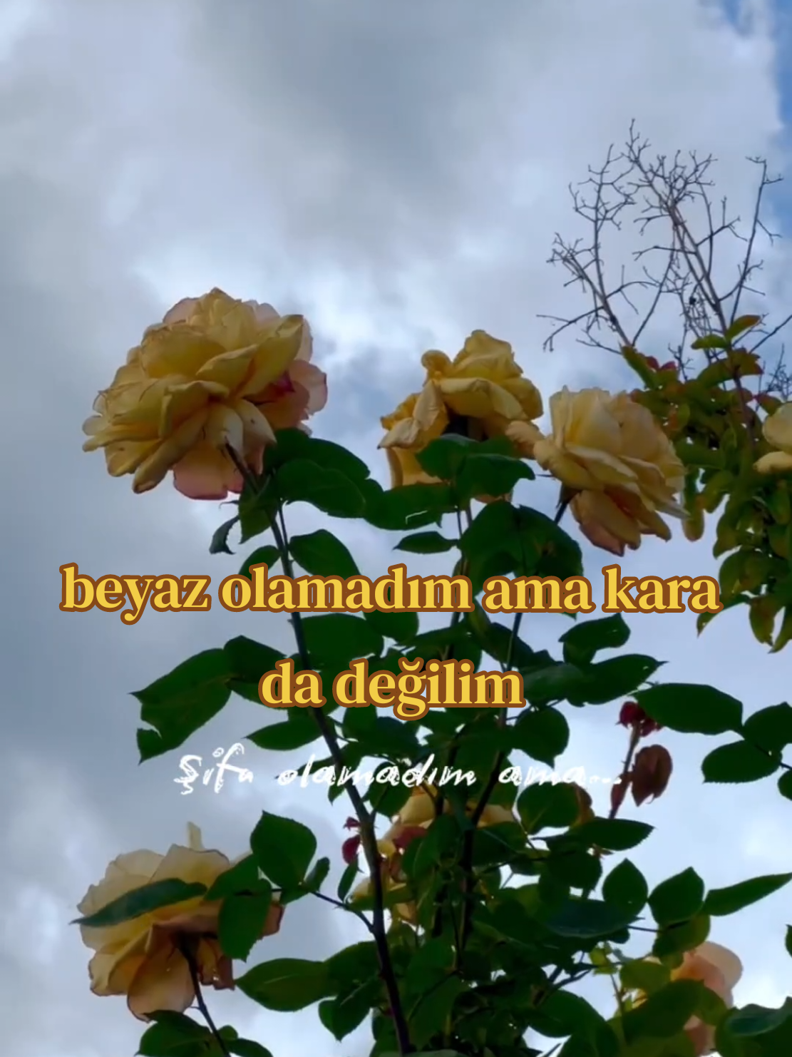 @İbrahim dertli