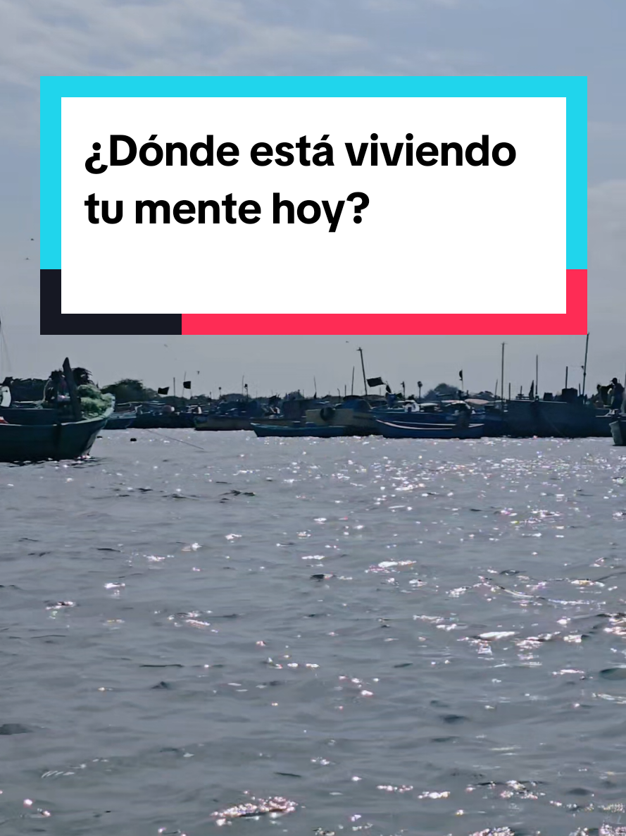 @Evelin Barahona