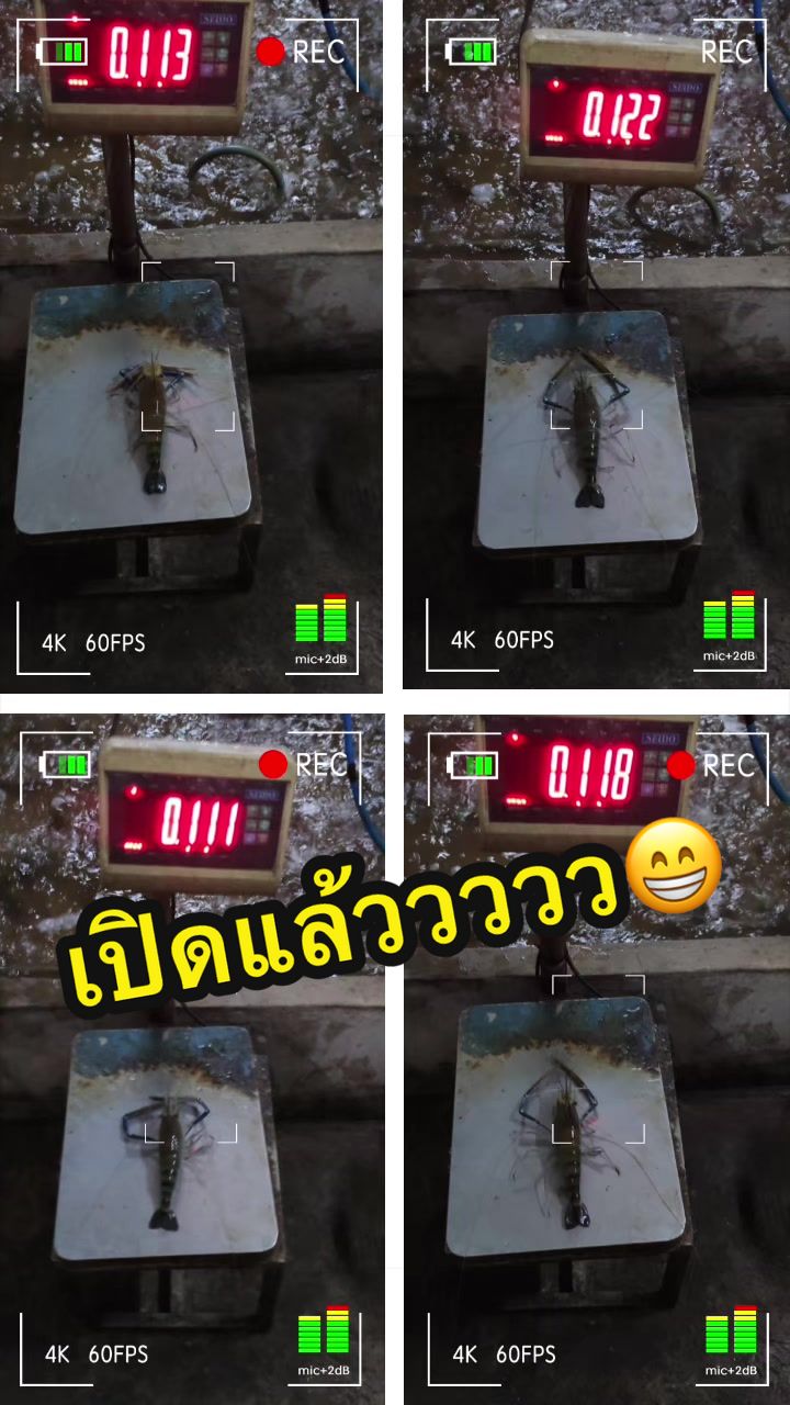 @น้องผึ้ง บ่อตกกุ้งนวนคร
