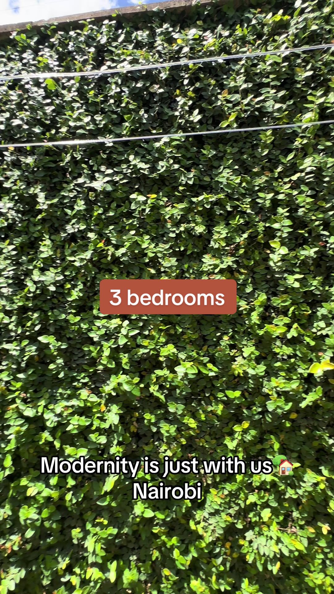 @Brook Homes
