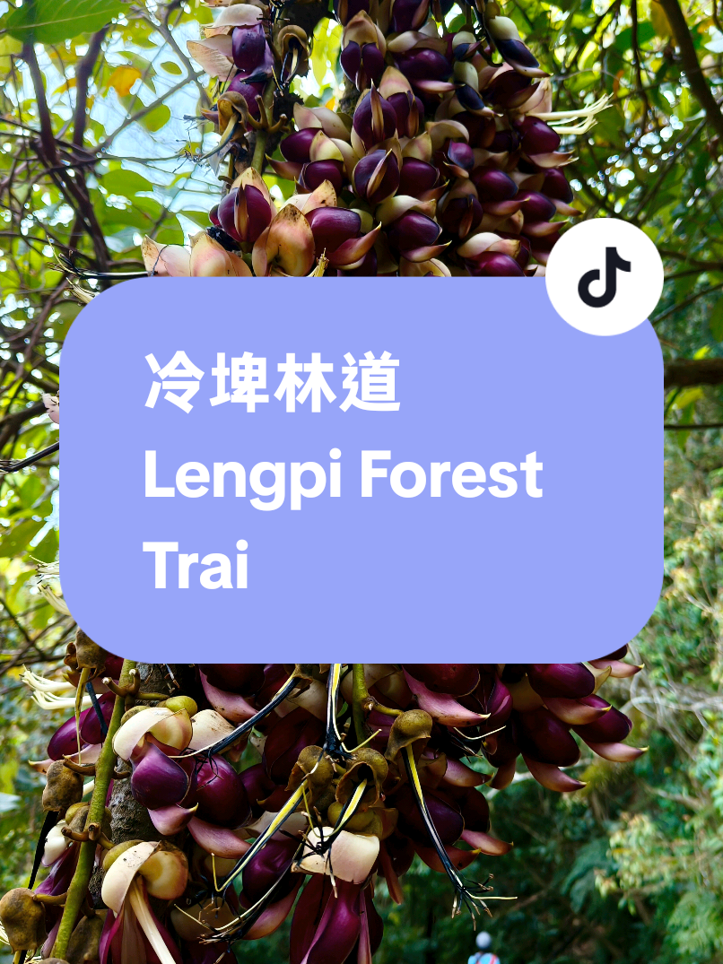 @肉腳二人組JEN勳🇹🇼