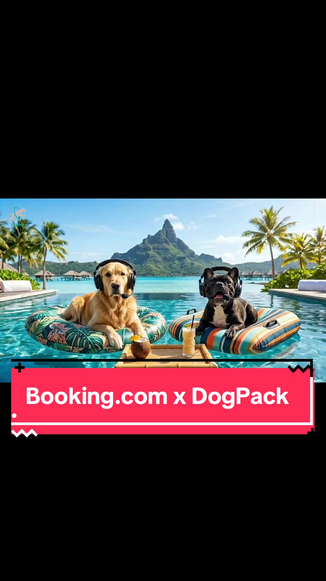 @DogPack
