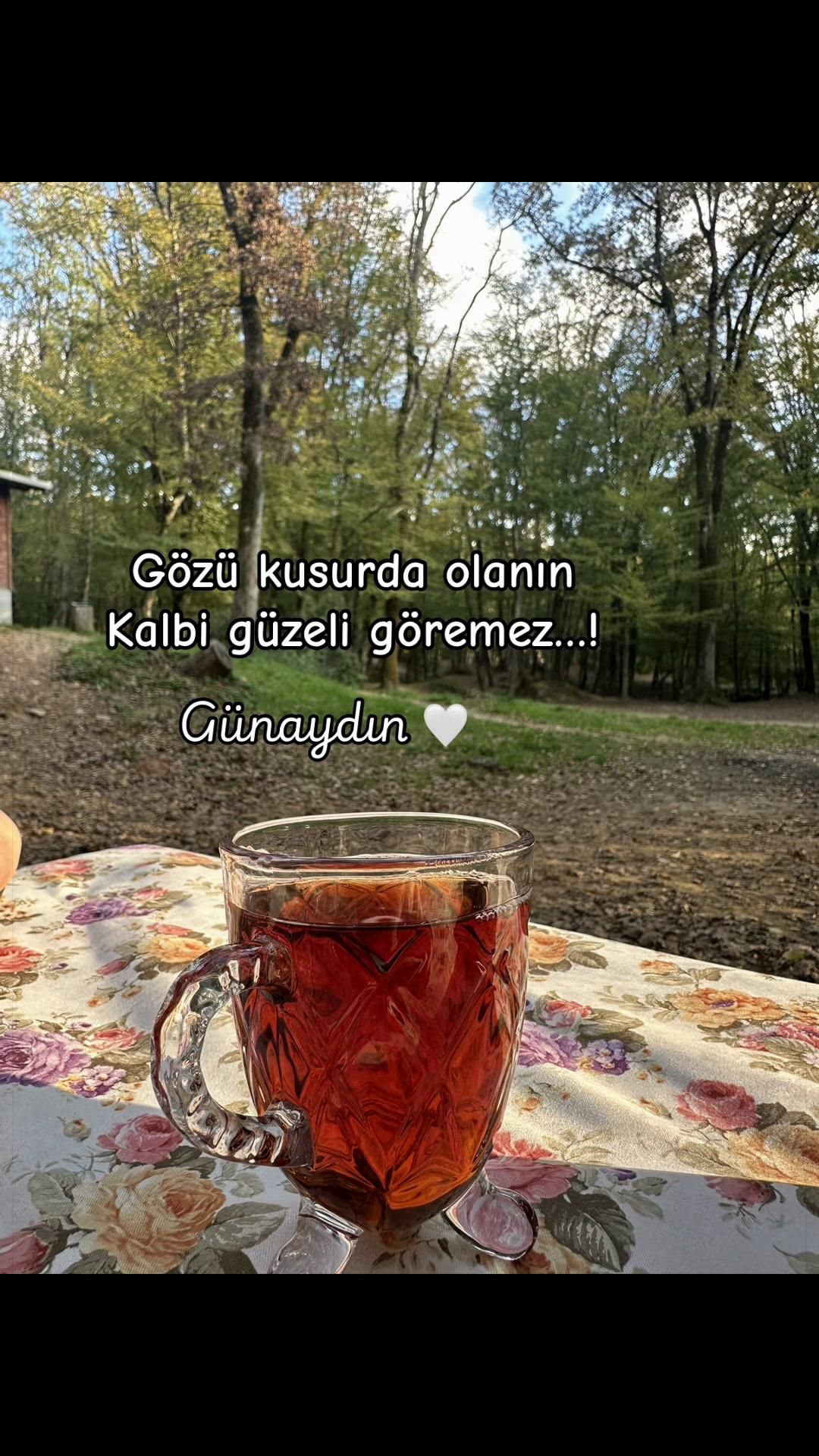 @〰️&bull;.🤍58T&uuml;lay34🤍.&bull;〰️