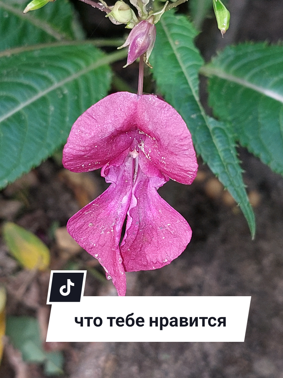 @Рыся✔️🇧🇾