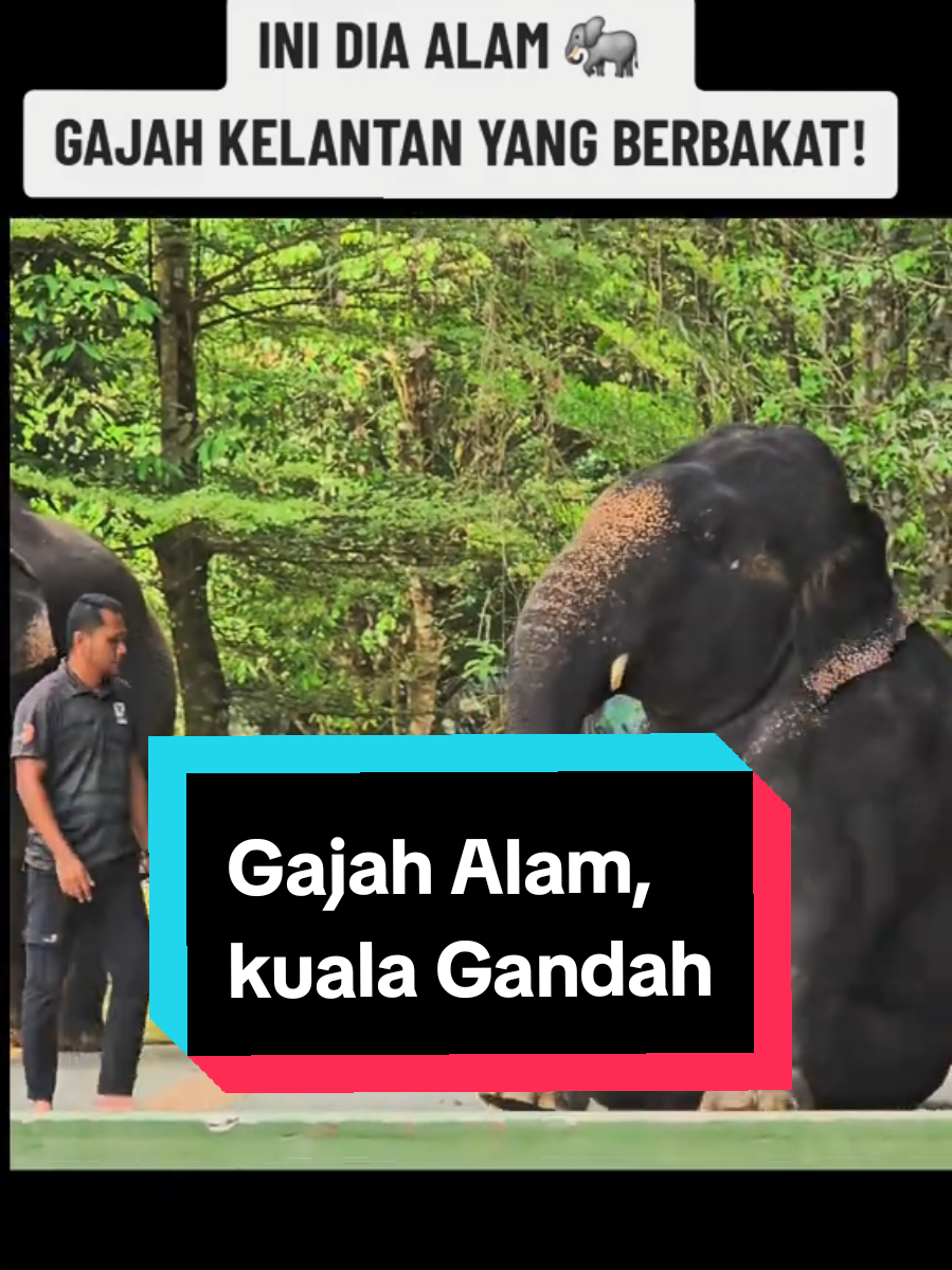 @Abam Teh