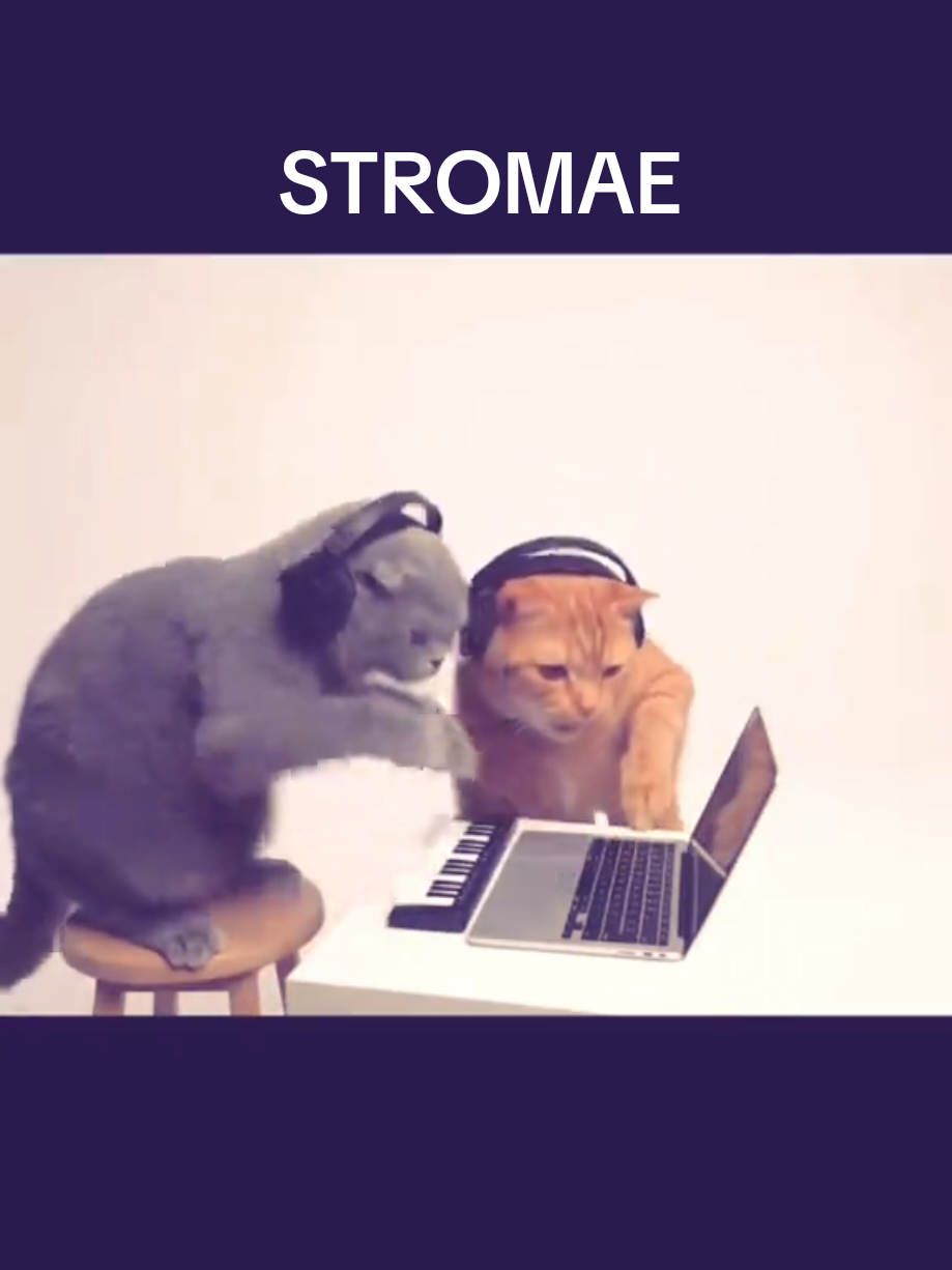 @Konstato