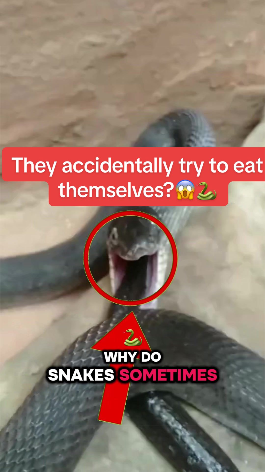 @Facts Fuel