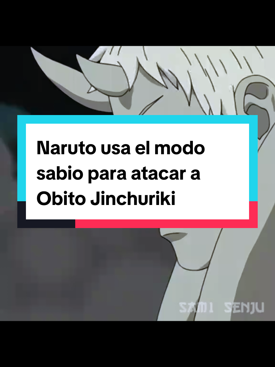 @Fans de Anime
