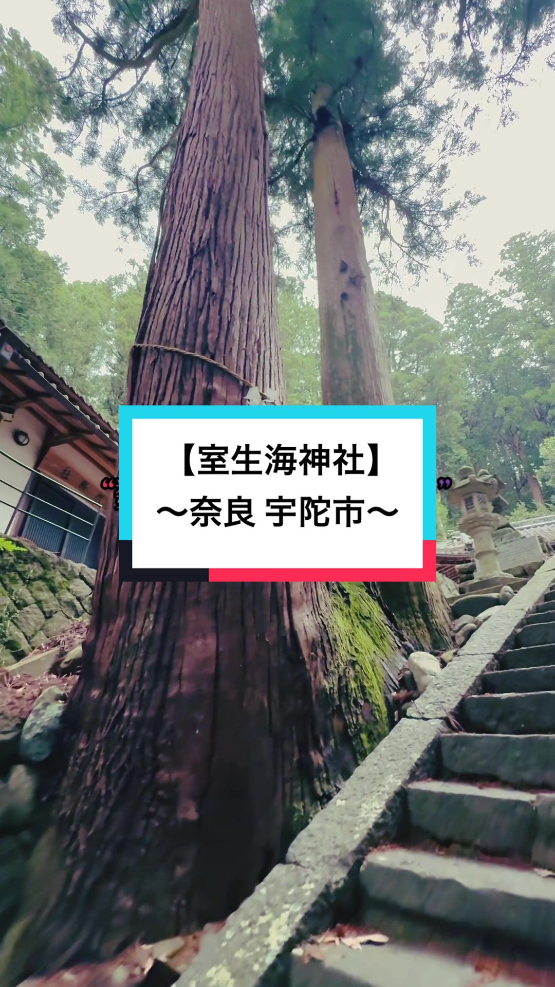 @開運きむにぃ