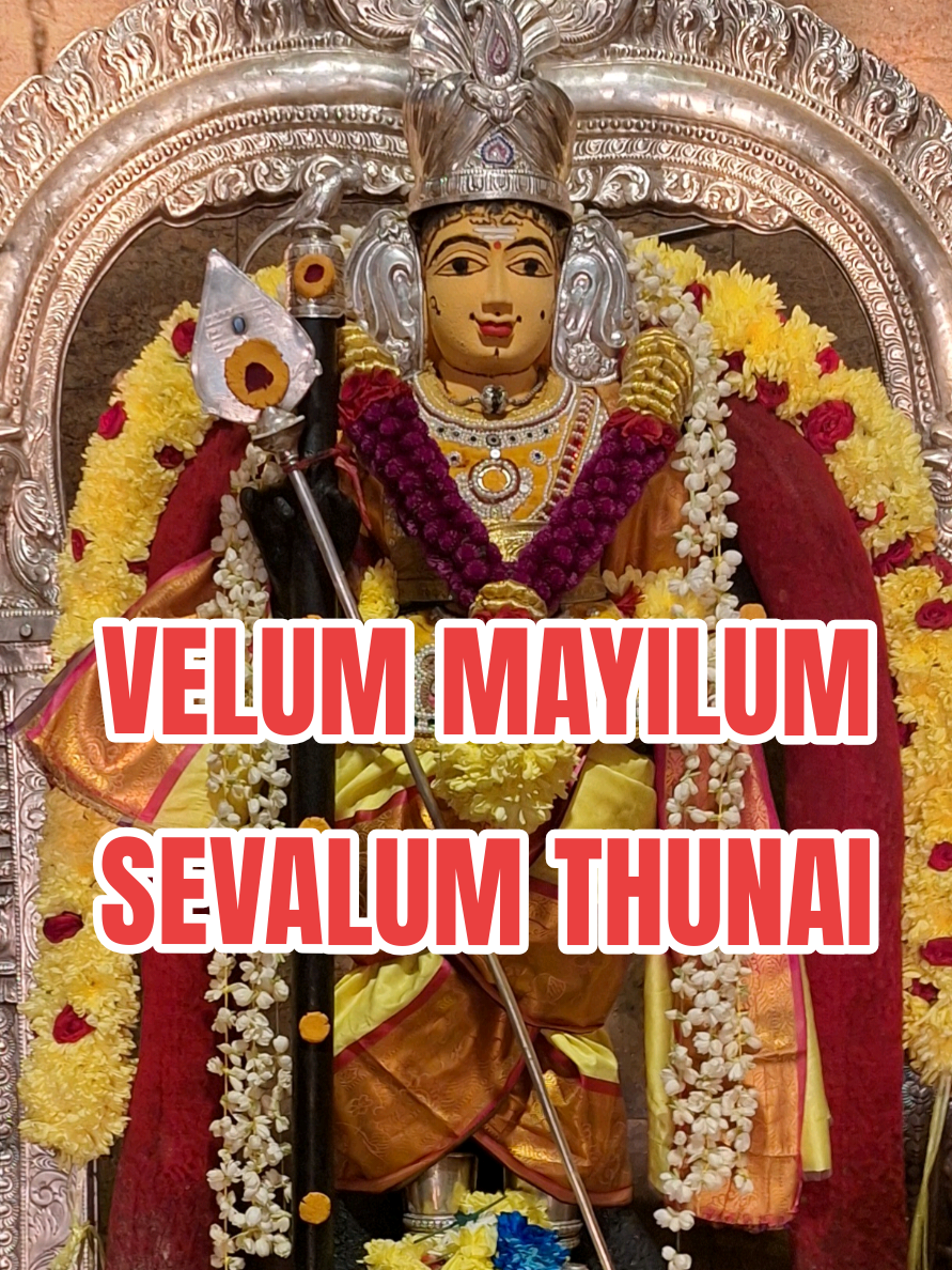 @Murugan Sevagan