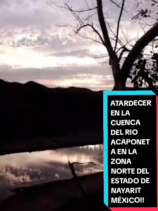 @Eliseo López