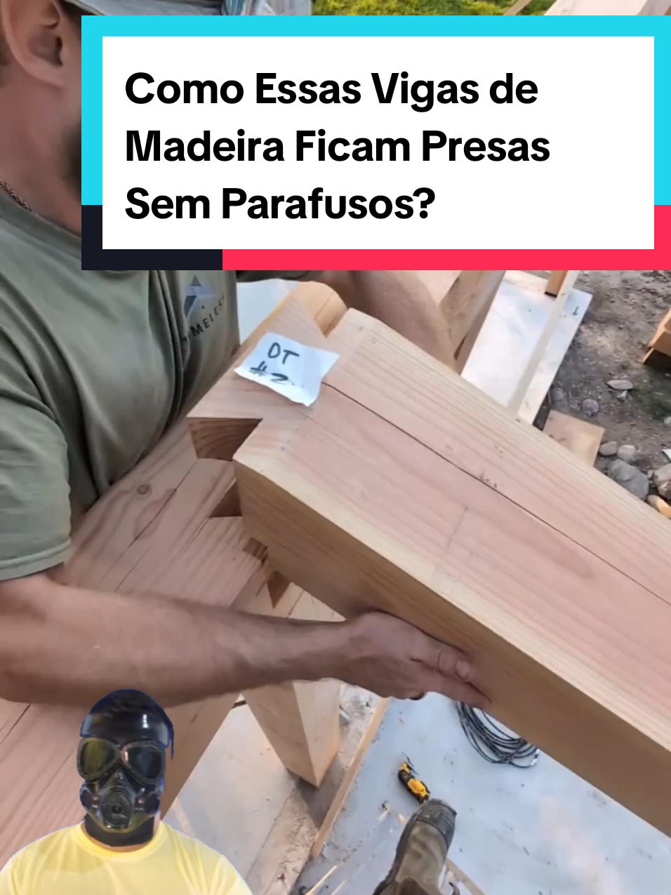 @Mundo da Curiosidades