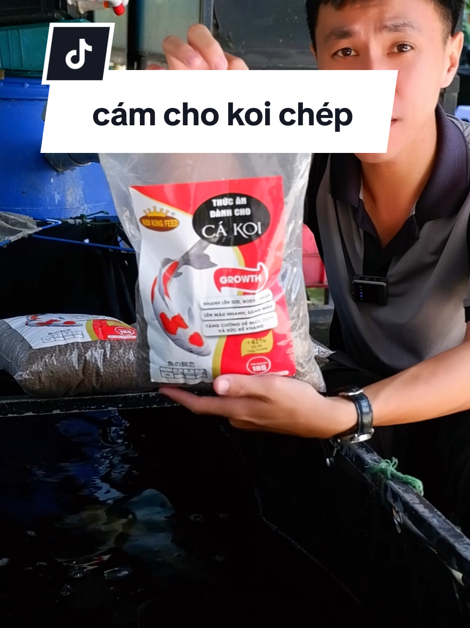 @Ngắm Cá Online