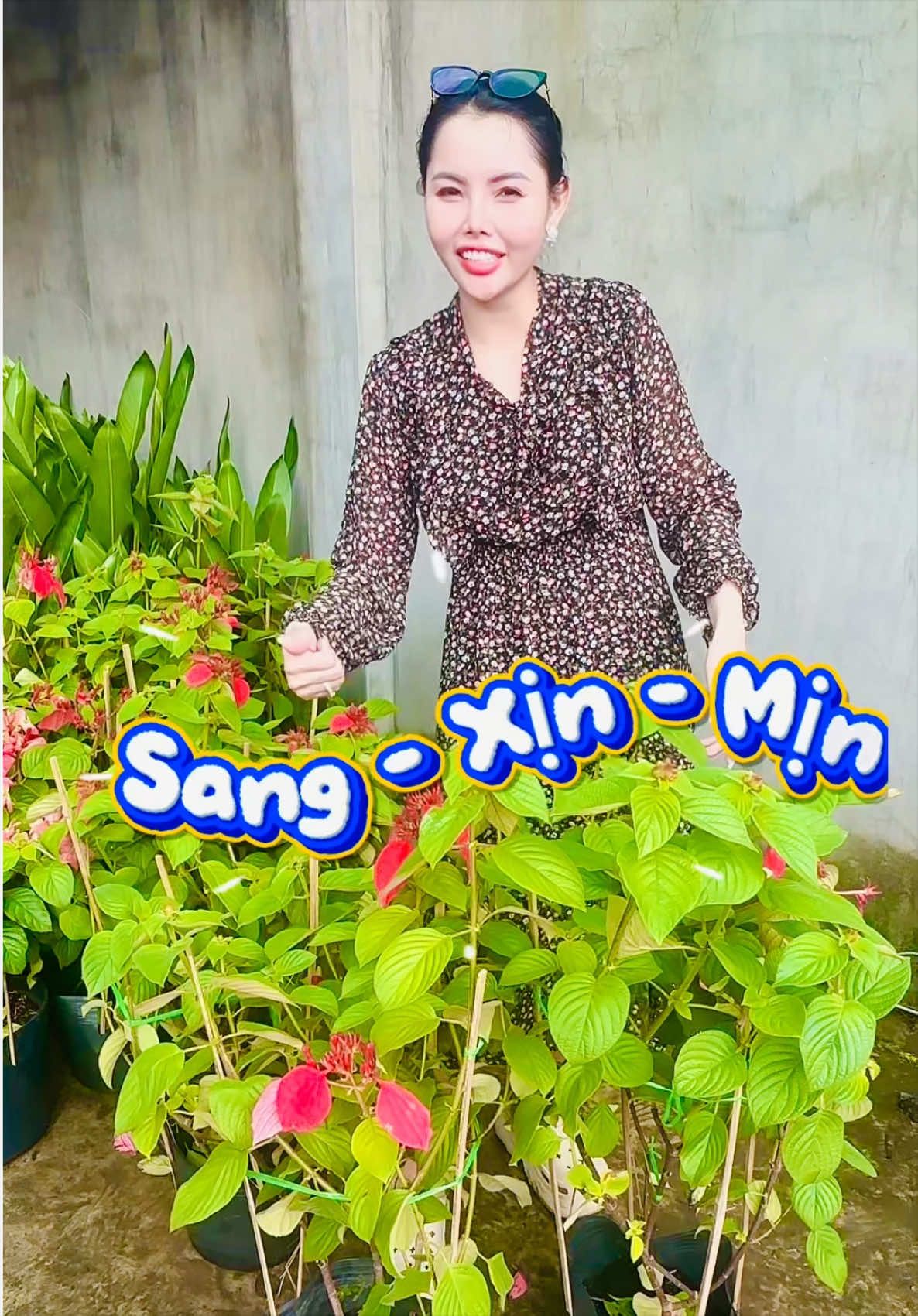 @Tiệm Lá Nhỏ