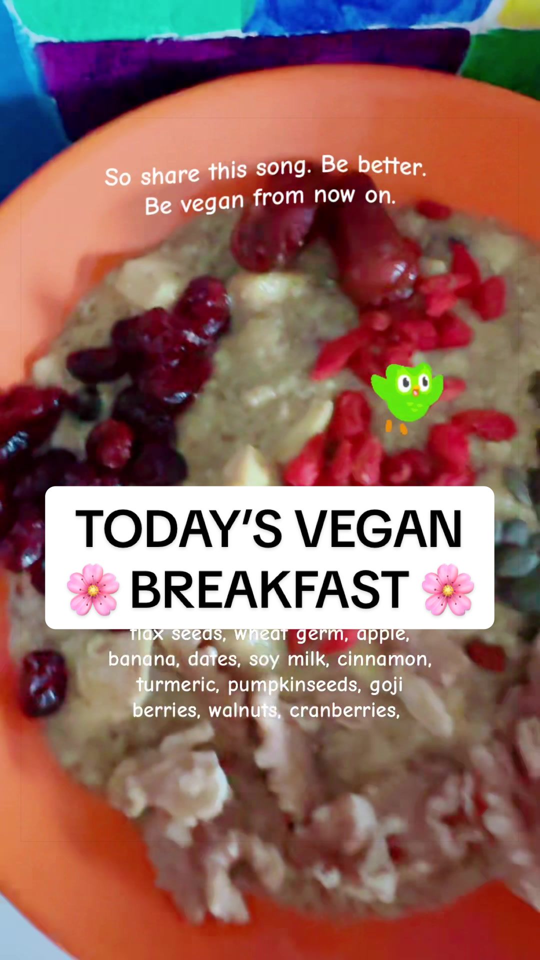 @That Vegan Teacher Miss Kadie