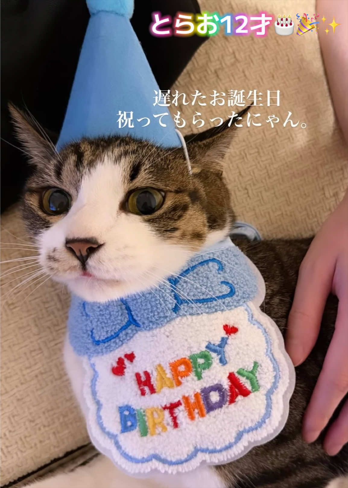 @yuta2012