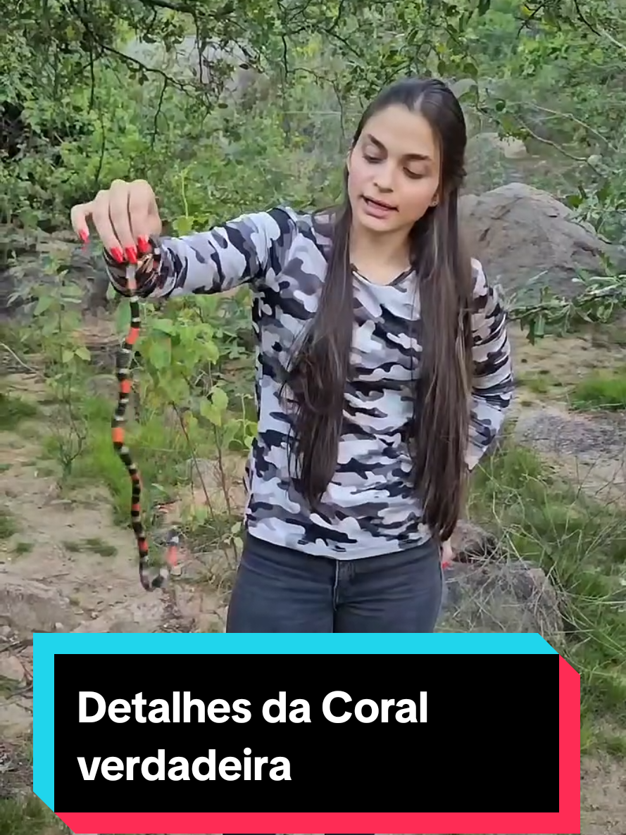 @Princesa das Serpentes