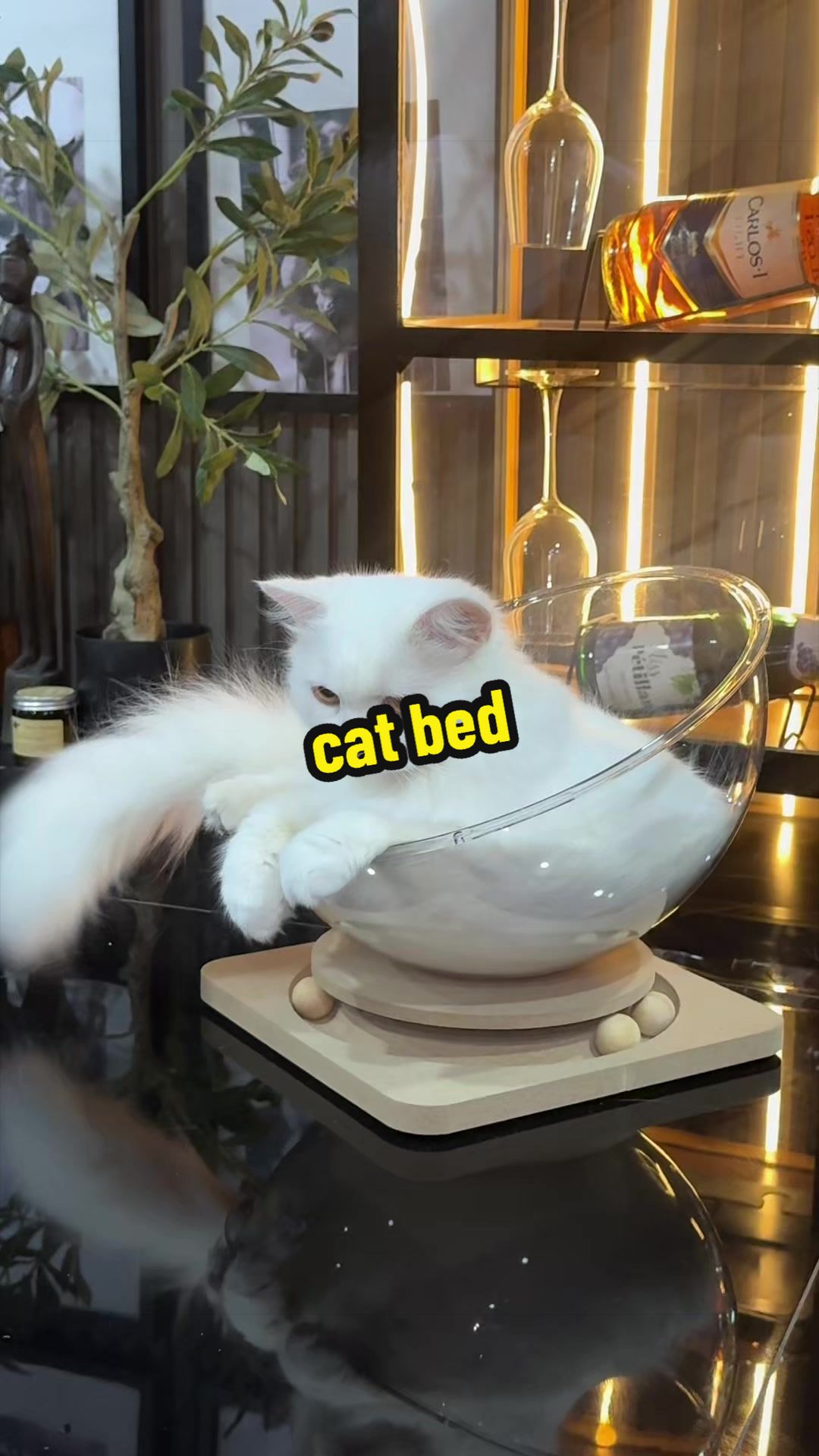 @Jhonroniel Cao