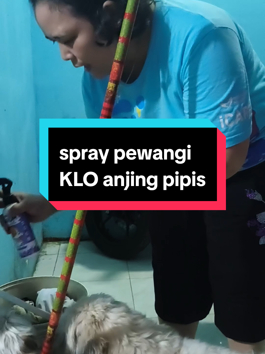 @Sarah Purnama ❤️❤️❤️