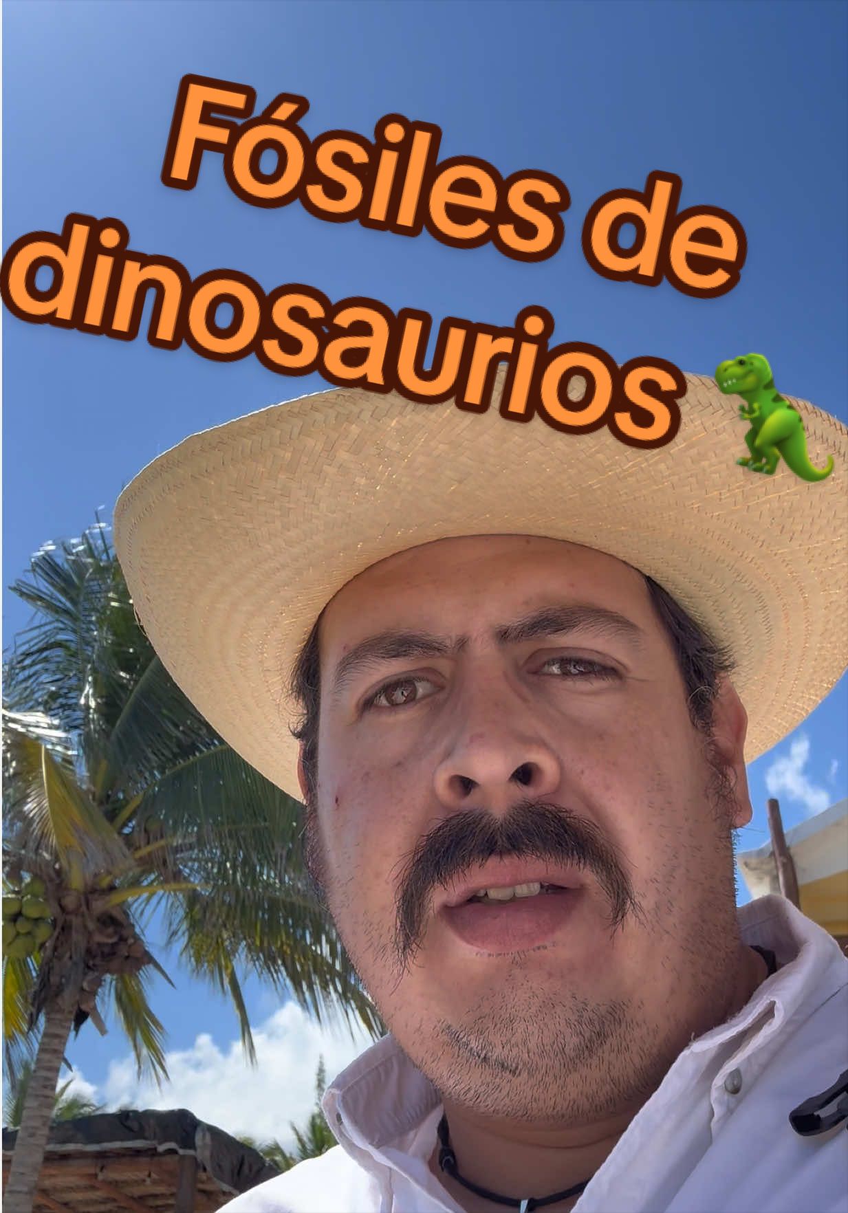 @José Ramón Medina