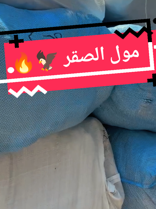 @مول الصقر للملابس الجاهزة