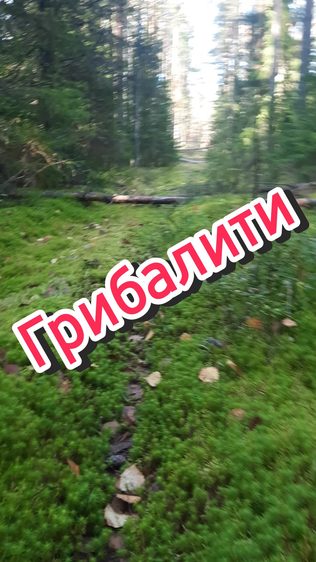 @Karelia_remont