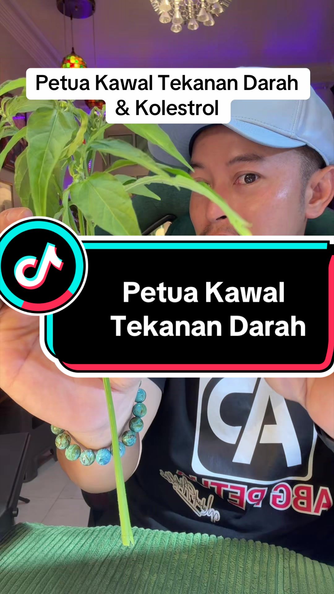 @Mahadi Abdullah | Abg Petua